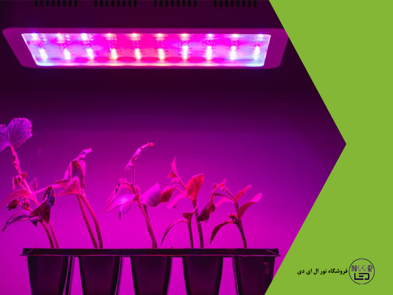 led-رشد-گیاه-مخصوص-گیاهان-آپارتمانی