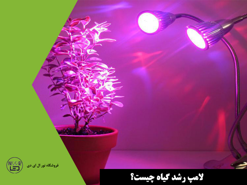 لامپ-رشد-گیاه-چیست